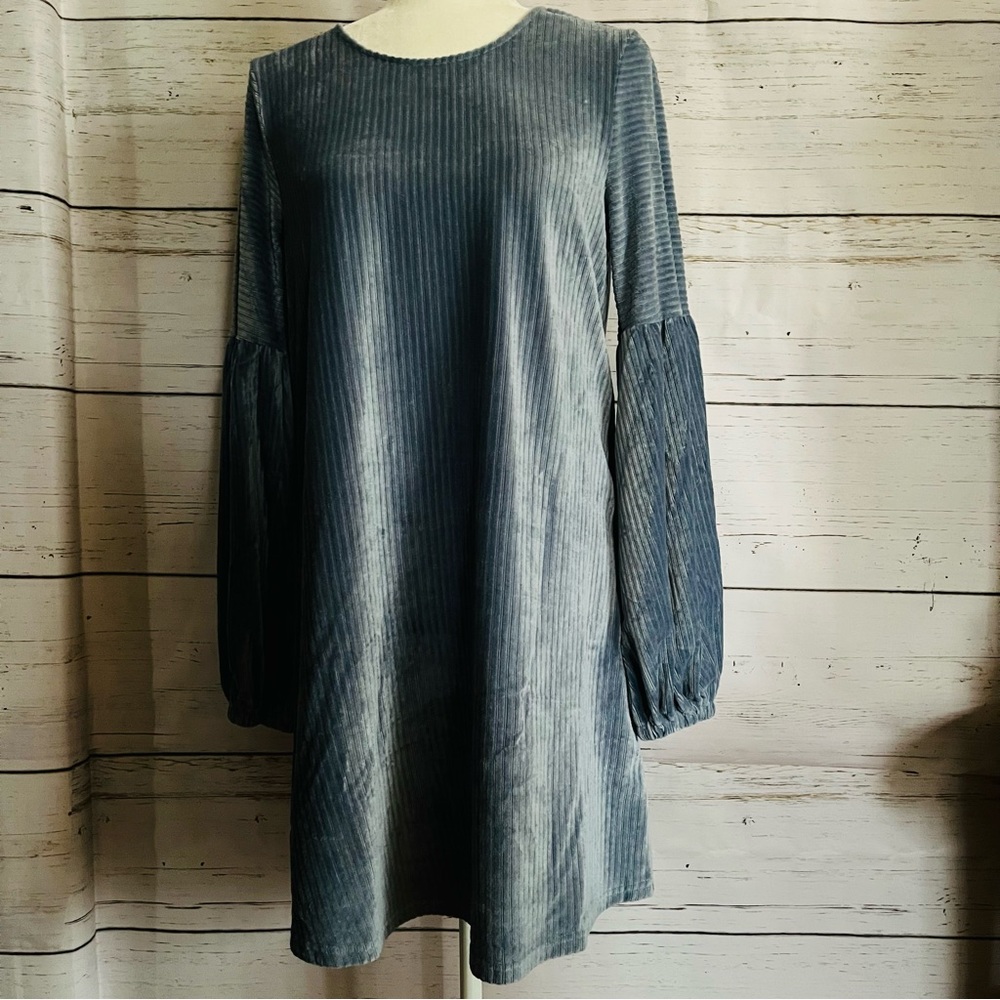Blue Velour Dress